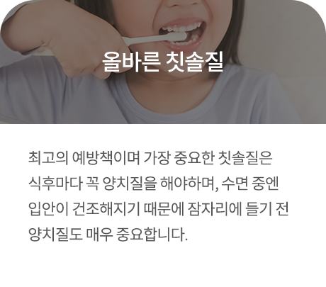 올바른 칫솔질