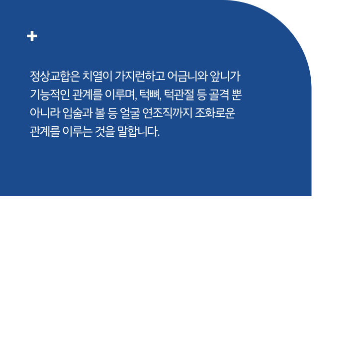 정상교합