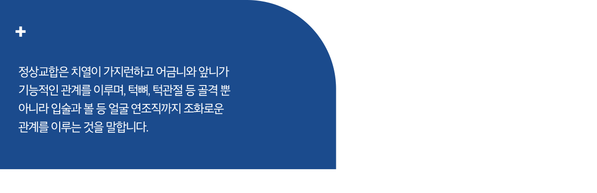 정상교합